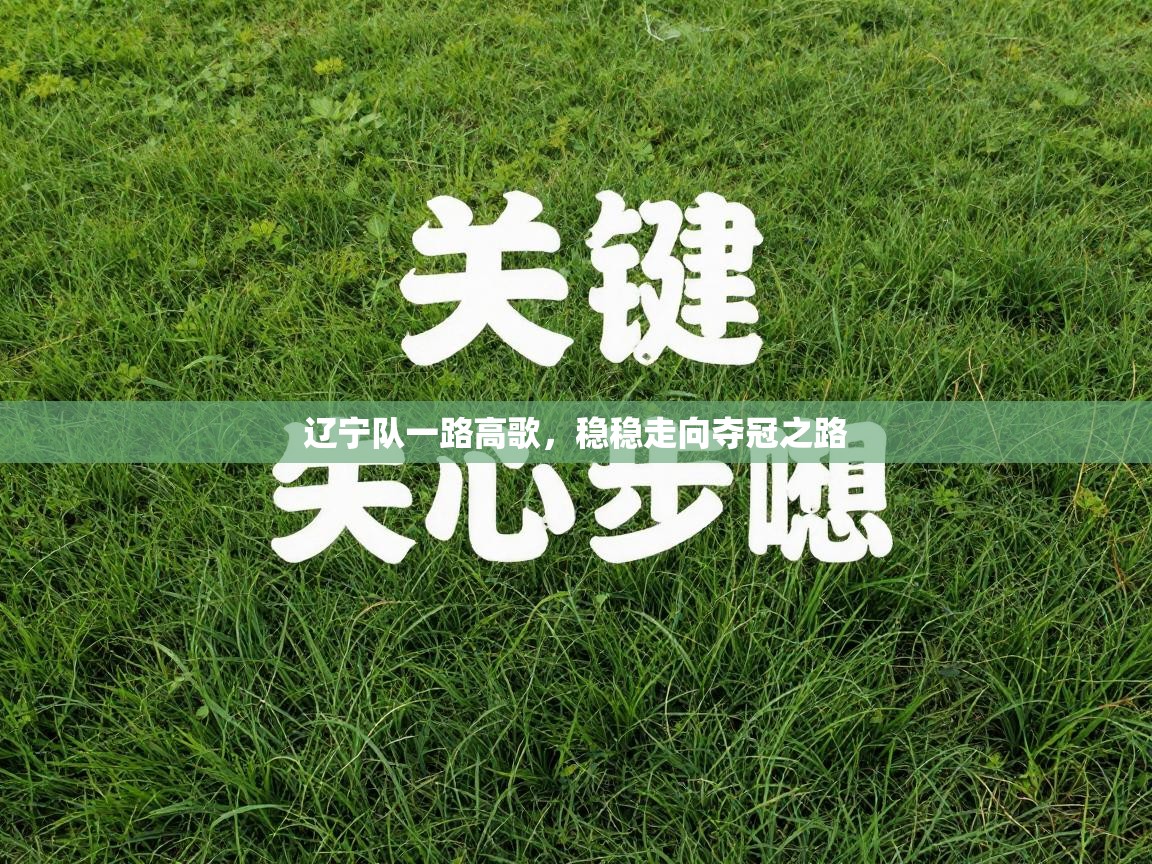 辽宁队一路高歌，稳稳走向夺冠之路  第2张