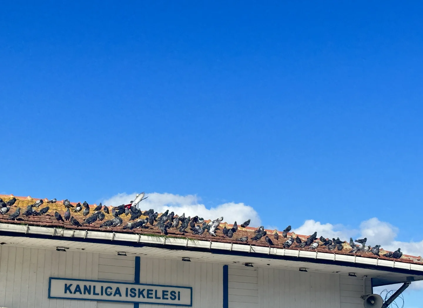 爱游戏登录-俄罗斯球队独占鳌头：东道主遇挑战